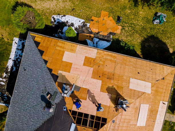 Best Roof Replacement Cost  in Wauseon, OH