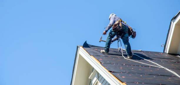 Best Flat Roof Repair Services  in Wauseon, OH